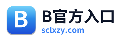 B官方入口 Logo
